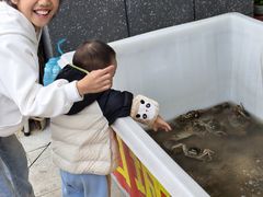 -高淳老街