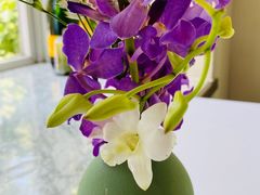 -蝶舍·MAISON PAPILLON