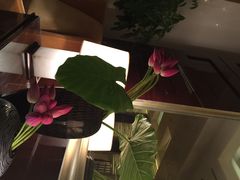 iphone_upload_pic-北京四季酒店