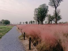 -汉长安城未央宫国家考古遗址公园