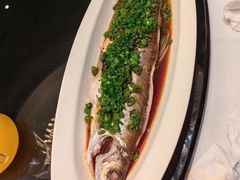 -新雅粤菜馆(南京东路店)