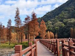 -广州市石门国家森林公园