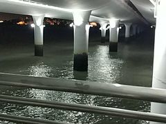 -演武大桥观景平台