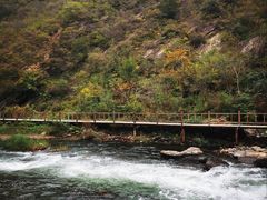 -白河湾生态旅游一条川