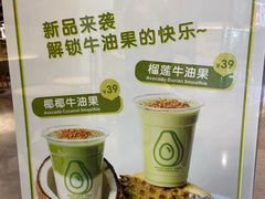 -油梨树 AVOCADO TREE(亮马桥店)