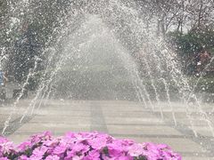 -东山湖公园