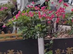 -霸王茶姬(泛海广场店)