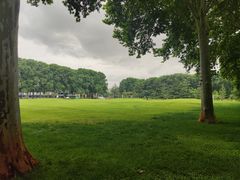 -河南省黄河迎宾馆