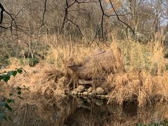 -南京市江宁方山