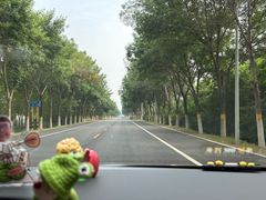-鱼子山桑葚生态采摘园