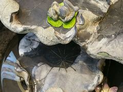-江南原著(中联广场店)