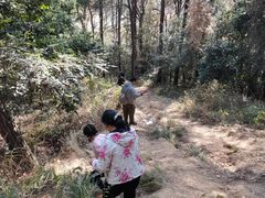 -青龙山国家森林公园