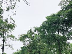 -怡海公园(桂城街道)