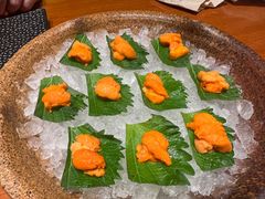 -月龍吟(朝龙汇店)