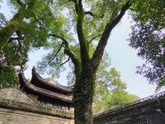 -天一阁博物院