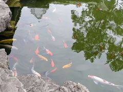 -吴作人艺术馆