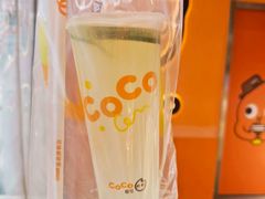 -CoCo都可(宝龙店)