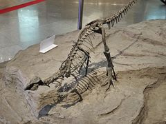 -自贡恐龙博物馆