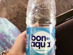 -谢列梅捷沃国际机场