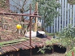 -黔灵山公园-南门售票处