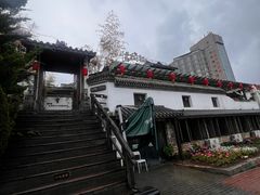-慢丽江·云南野生菌土鸡锅(付家庄店)