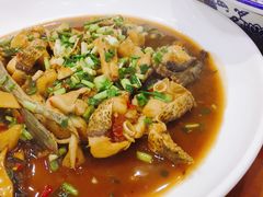 -全乐鱼馆·淳牌有机鱼直营店