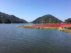-广州市石门国家森林公园