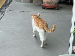 -路路通百辰汽车服务连锁(三合店)