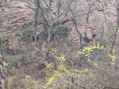 -伏羲山旅游区