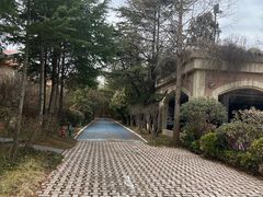 -芭东小镇温泉