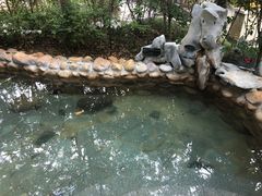 -深业半汤御泉庄温泉