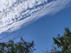 -广东金融学院(校本部)