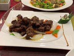 -碧丽宫大酒店(召稼楼店)