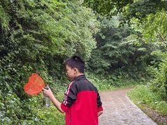 -青龙山国家森林公园