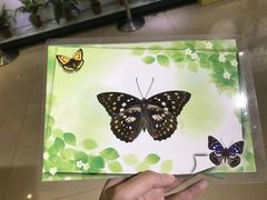 -上海昆虫博物馆