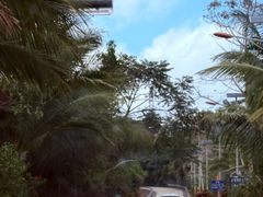 -海南热带雨林国家公园吊罗山景区