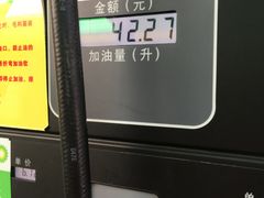 -中油碧辟·BP加油站(北环店)