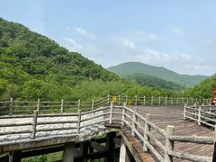 -南京老山国家森林公园