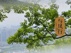 -临平公园(临平街道)