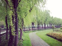 iphone_upload_pic-上海鲜花港