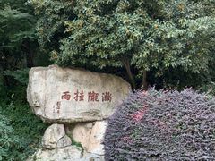 -杭州少年儿童公园