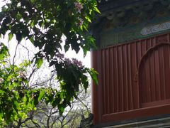 -北京艺术博物馆(万寿寺)