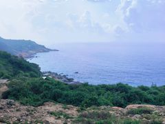 -广东惠东海龟国家级自然保护区