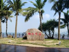 -万绿园