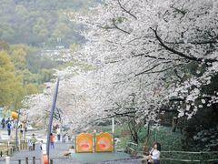 -杭州少年儿童公园