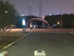 -武汉两江游览·夜游长江(汉口粤汉码头)