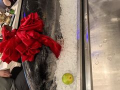 -初色海鲜自助(新辰里亚运村店)