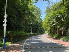-火炉山森林公园