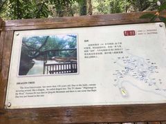 -青芝山风景名胜区