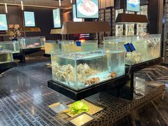 -璞御·海鲜·雪花牛肉局(宾水西道店)